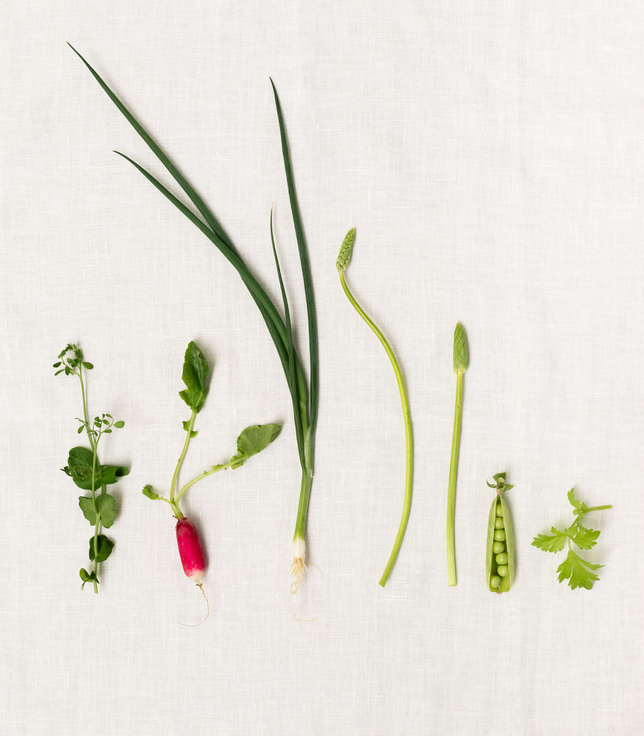 Optimal nutrient supply for vegans: 9 key nutrients in focus Optimal nutrient supply for vegans: 9 key nutrients in focus