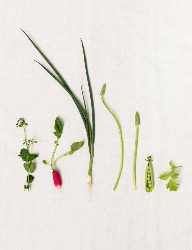 Optimal nutrient supply for vegans: 9 key nutrients in focus Optimal nutrient supply for vegans: 9 key nutrients in focus