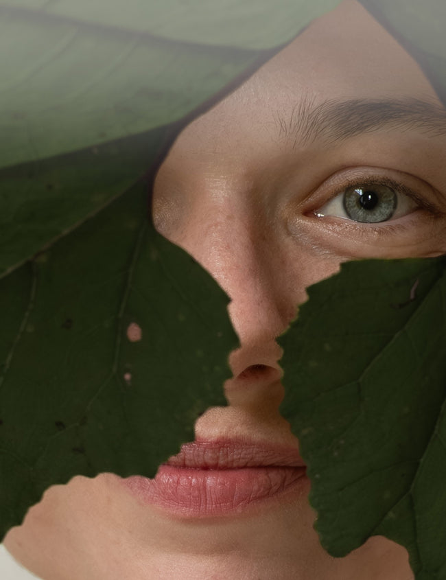 Essential nutrients for healthy eyes Essential nutrients for healthy eyes