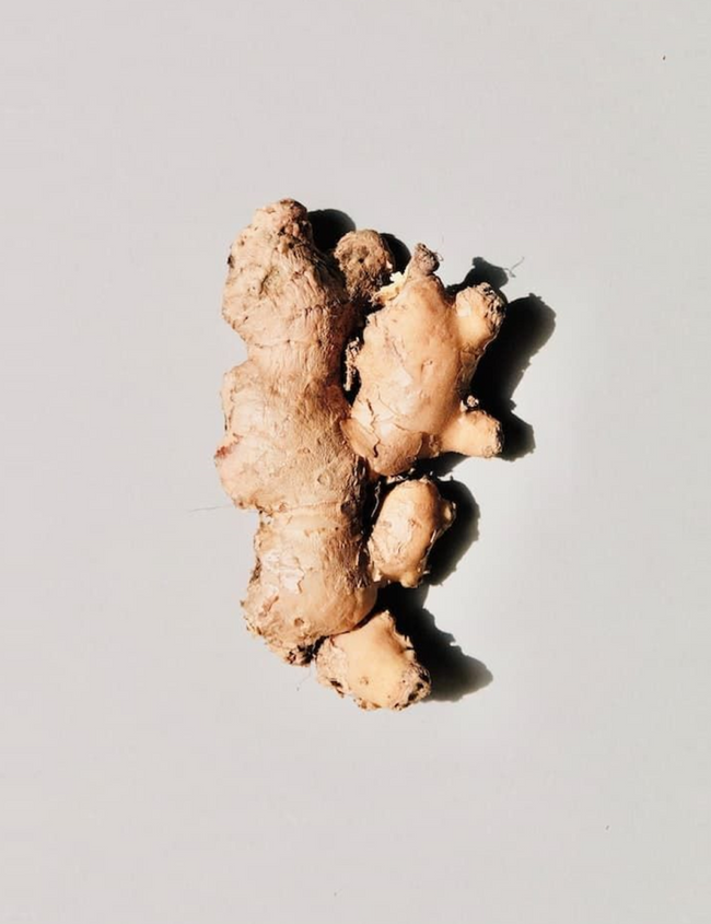 The liver – the multitasker of our body The liver – the multitasker of our body