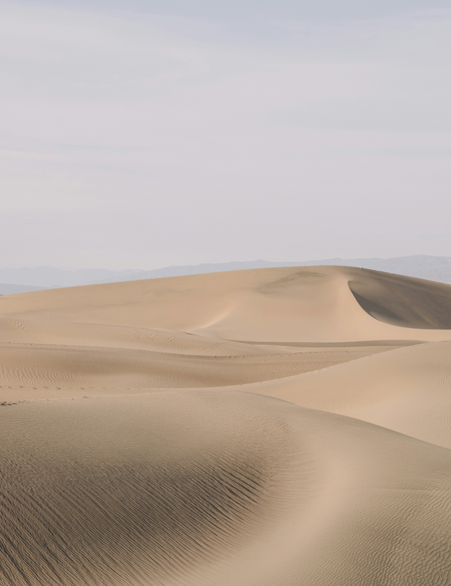 A holistic approach to osteoporosis A holistic approach to osteoporosis