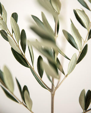 Other food supplements Other food supplements