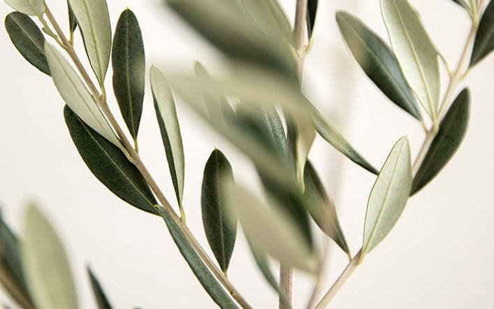 Other food supplements Other food supplements