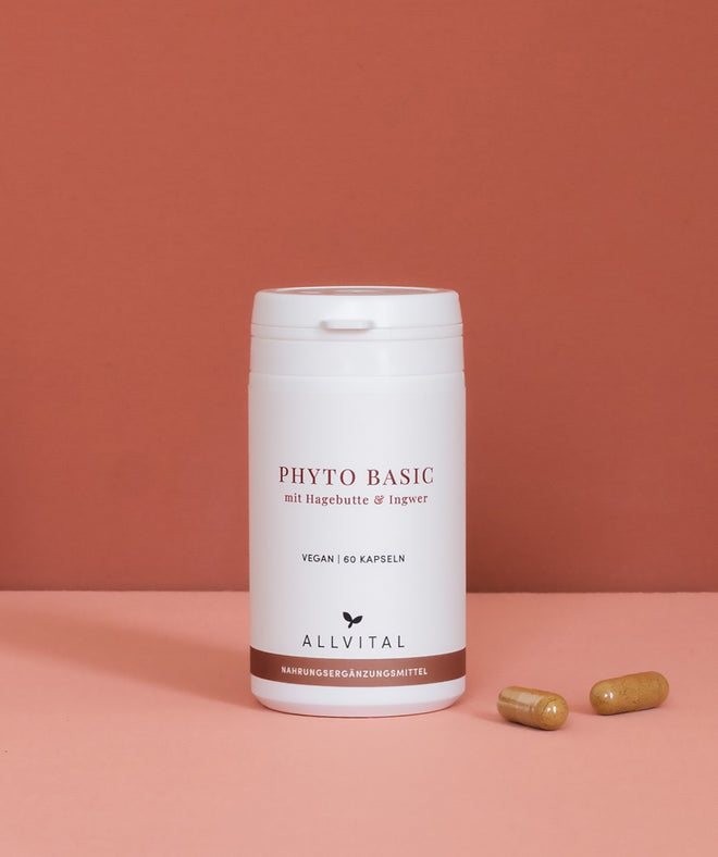 Allvital Phyto Basic with rosehip and ginger. Rosehip supports a healthy immune system and digestion. Allvital Phyto Basic with rosehip and ginger. Rosehip supports a healthy immune system and digestion.