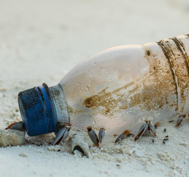 How microplastics harm human health How microplastics harm human health