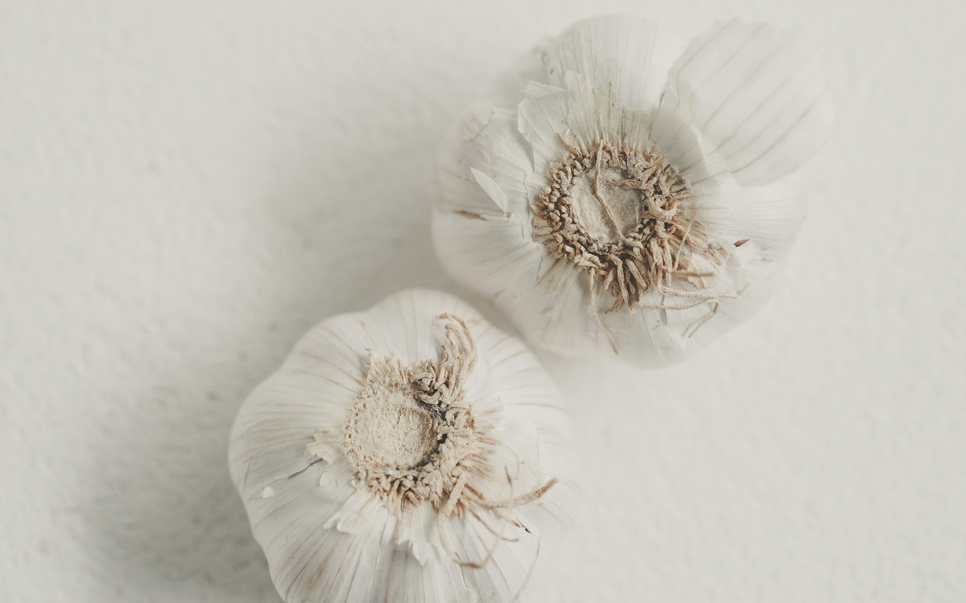 Parasites in the body: How to recognize and treat them holistically Parasites in the body: How to recognize and treat them holistically