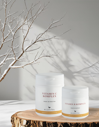 Winter Basic Bundle Winter Basic Bundle