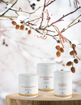 Winter Plus Bundle Winter Plus Bundle