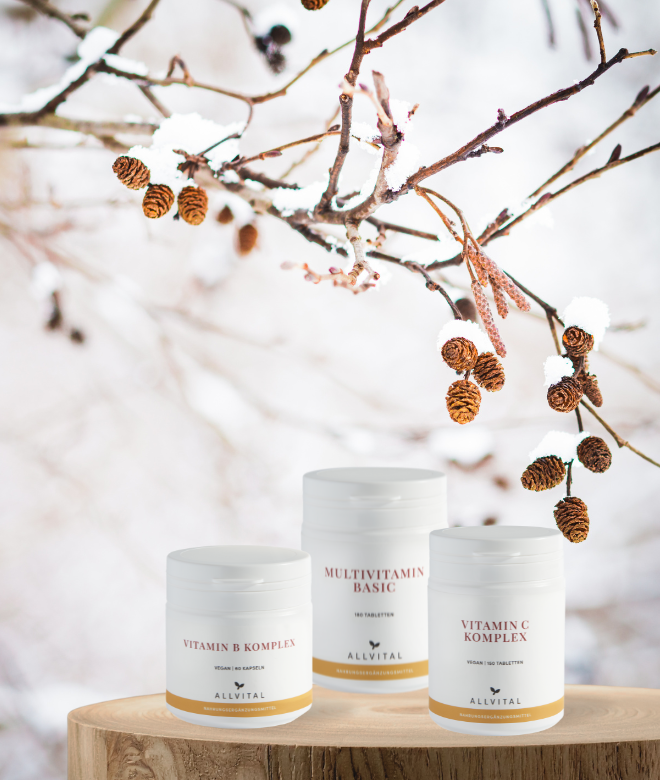 Winter Plus Bundle Winter Plus Bundle