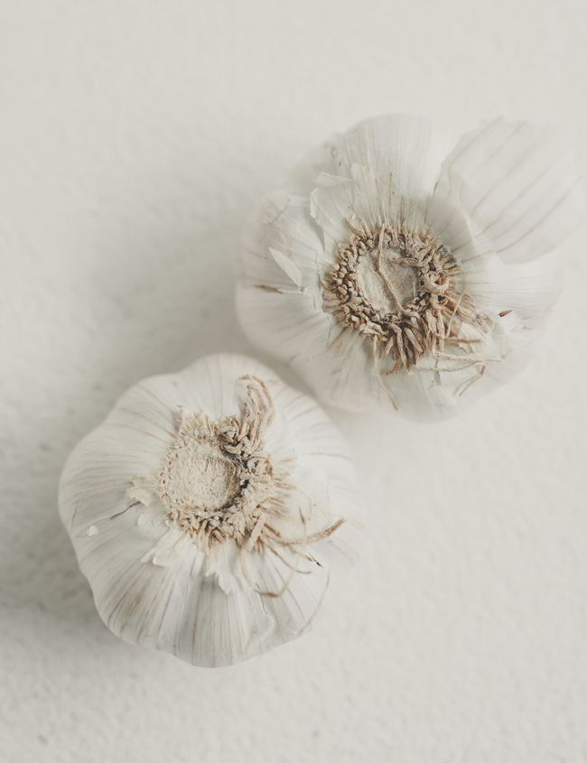 Parasites in the body: How to recognize and treat them holistically