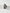 The trace element zinc in focus