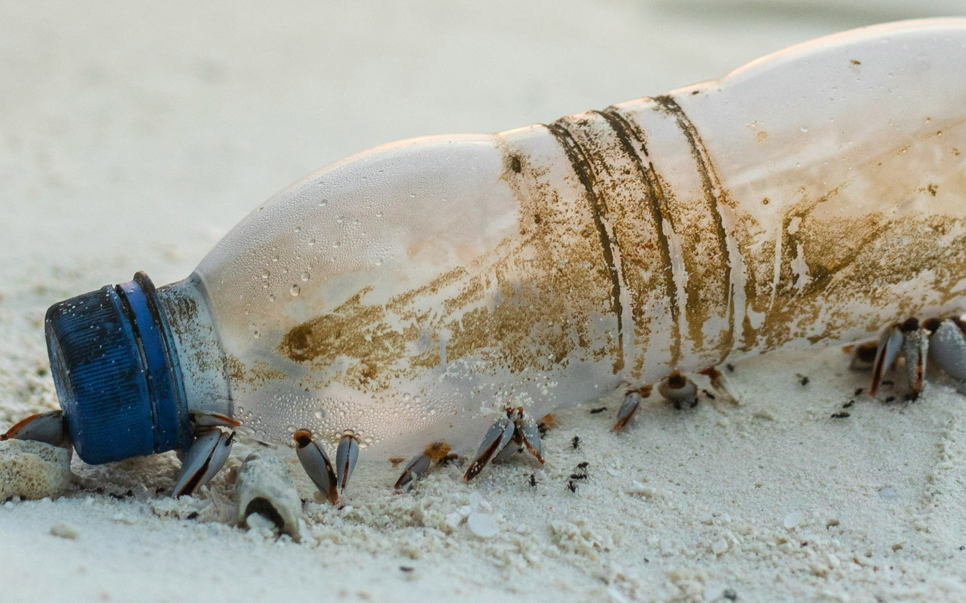 How microplastics harm human health