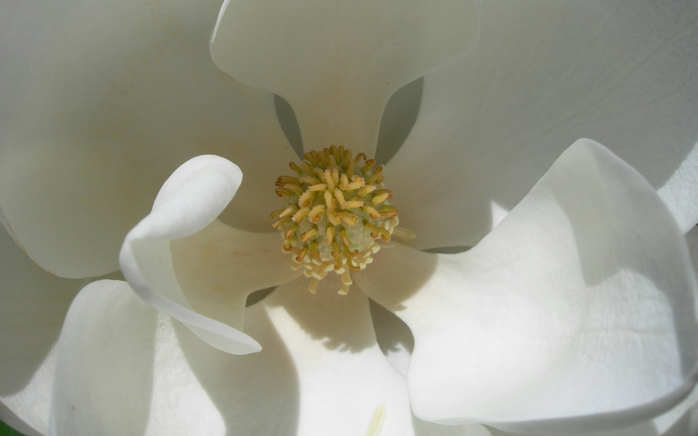 10 Tips for Healthy Mucous Membranes